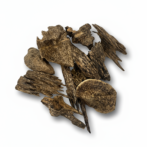 عود جنوب تايلند ملكي