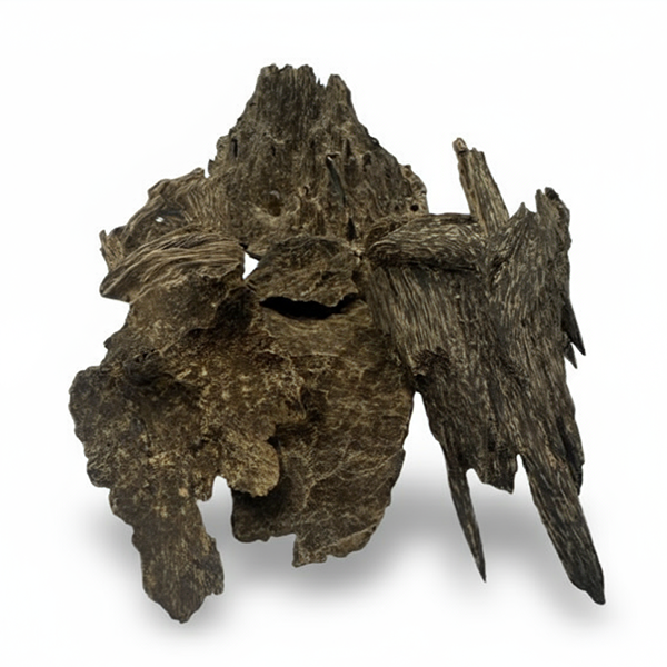 عود ماليزي فاخر