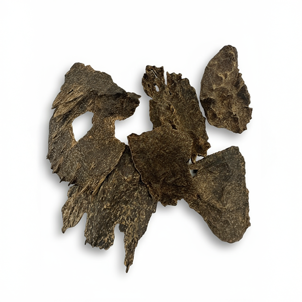 عود من غابات كمبوديا