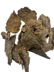 Oud from the Forests of Burma